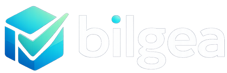 Bilgea — Gümrük Beyanname Programı